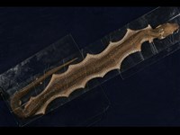 藏品(眼鏡蛇)的圖片